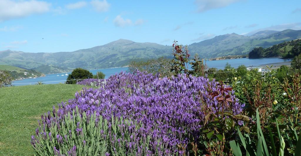 L'Abri Bed And Breakfast Akaroa Ngoại thất bức ảnh