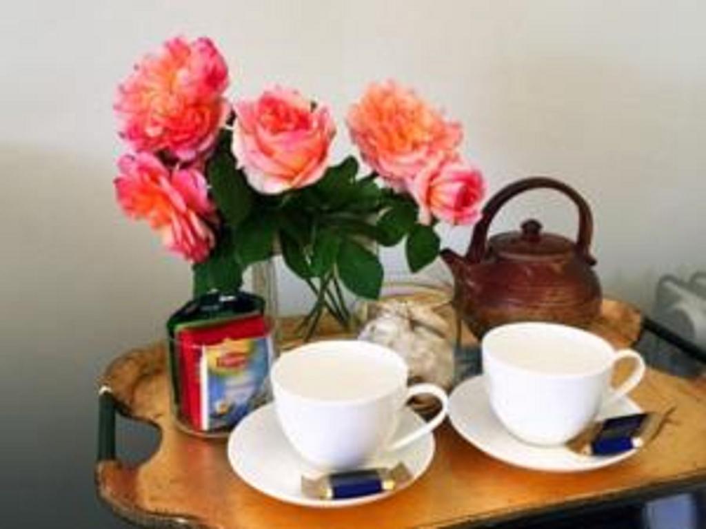 L'Abri Bed And Breakfast Akaroa Ngoại thất bức ảnh